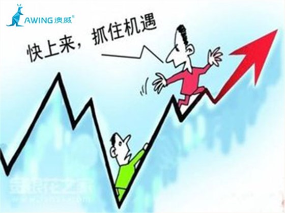 廣東門(mén)窗十大品牌企業(yè)如何順應(yīng)時(shí)代抓住機(jī)遇